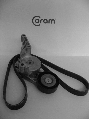 V-Ribbed Belt Set (KTC1001.37)