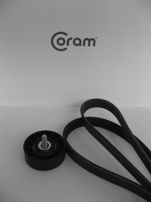 V-Ribbed Belt Set (KTC1017.96)