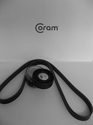 V-Ribbed Belt Set (KTC1008.15)