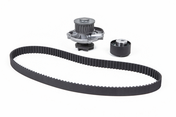 Water Pump & Timing Belt Kit (KTC819WP5)