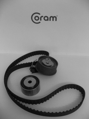 Timing Belt Kit (KTC88891)