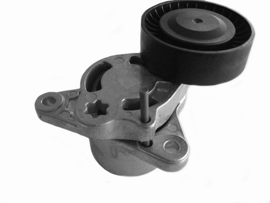Belt Tensioner, V-ribbed belt (CT1045)