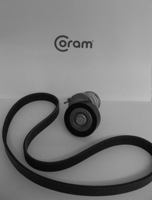 V-Ribbed Belt Set (KTC1000.69)