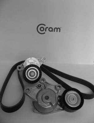 V-Ribbed Belt Set (KTC10601061)