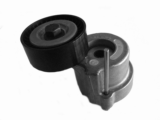 Belt Tensioner, V-ribbed belt (C989)