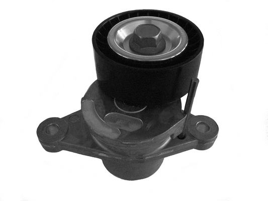 Belt Tensioner, V-ribbed belt (CT1061)