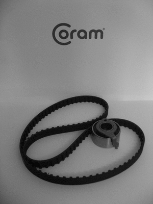 Timing Belt Kit (KTC975.91)