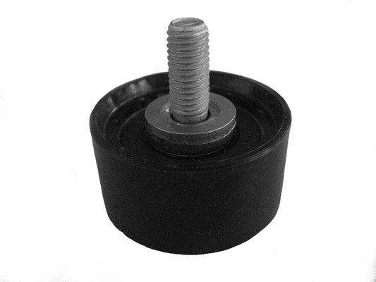 Deflection/Guide Pulley, timing belt (CT1067)