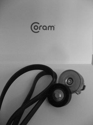 V-Ribbed Belt Set (KTC987.8022)