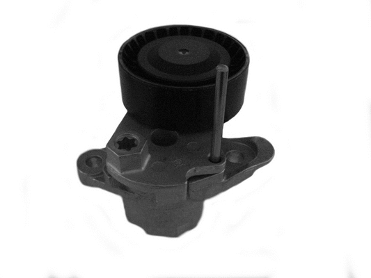 Belt Tensioner, V-ribbed belt (CT1051)