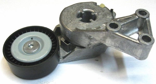 Belt Tensioner, V-ribbed belt (C893)