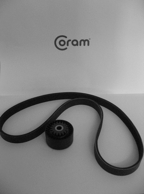 V-Ribbed Belt Set (KTC991.45)