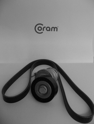 V-Ribbed Belt Set (KTC1000.25)