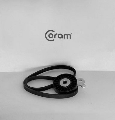 V-Ribbed Belt Set (KTC1011.45)