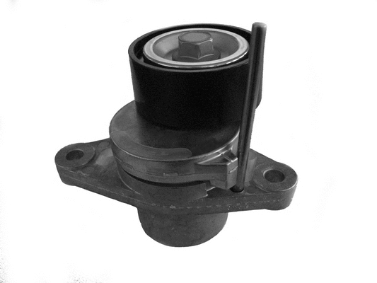 Belt Tensioner, V-ribbed belt (CT1063)