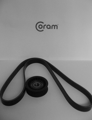 V-Ribbed Belt Set (KTC993)