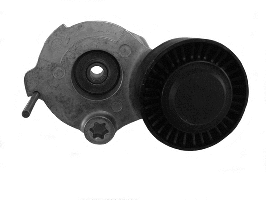 Belt Tensioner, V-ribbed belt (CT1030)