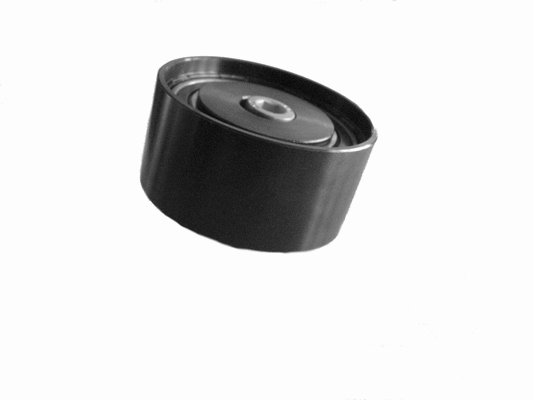 Deflection/Guide Pulley, timing belt (C981)