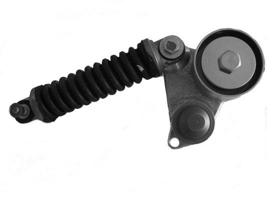 Belt Tensioner, V-ribbed belt (CT1020)