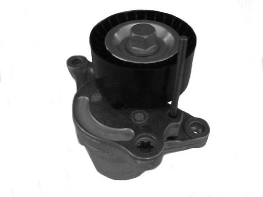Belt Tensioner, V-ribbed belt (CT1056)