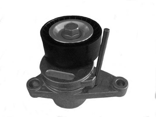 Belt Tensioner, V-ribbed belt (CT1057)