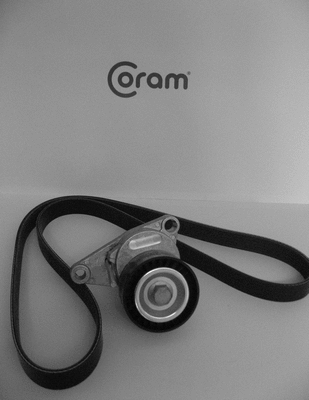 V-Ribbed Belt Set (KTC1057)