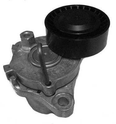 Belt Tensioner, V-ribbed belt (C996)