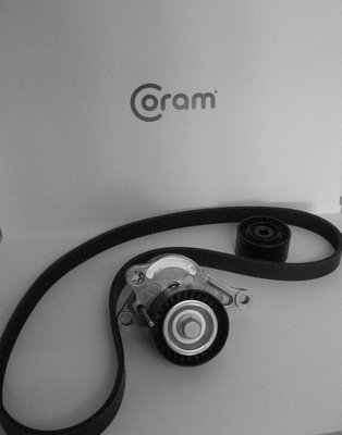 V-Ribbed Belt Set (KTC10491056.67)