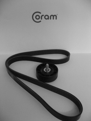 V-Ribbed Belt Set (KTC1017)