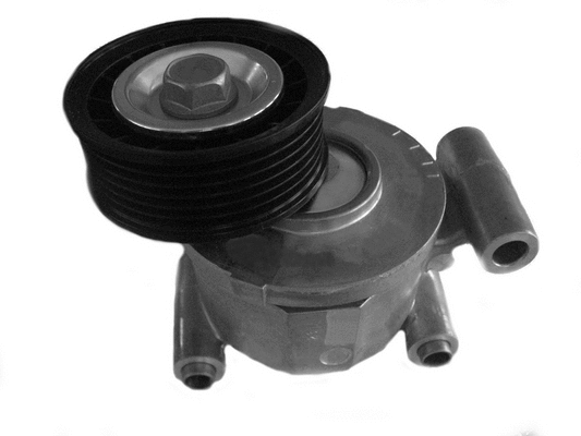 Belt Tensioner, V-ribbed belt (CT1058)