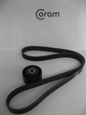 V-Ribbed Belt Set (KTC991)