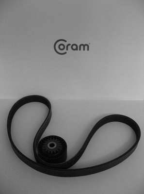 V-Ribbed Belt Set (KTC991.80)