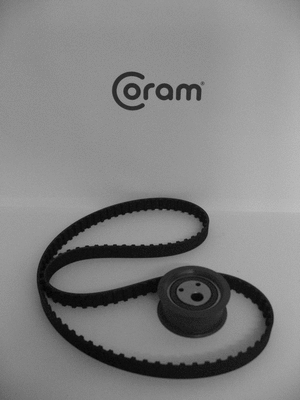 Timing Belt Kit (KTC747.38)