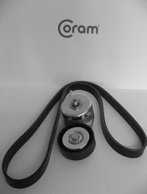 V-Ribbed Belt Set (KTC1033.50)