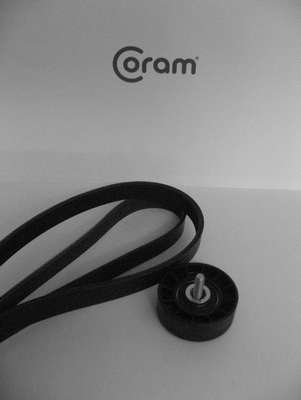 V-Ribbed Belt Set (KTC1017.92)