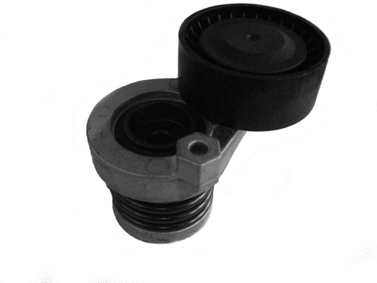 Belt Tensioner, V-ribbed belt (CT1048)