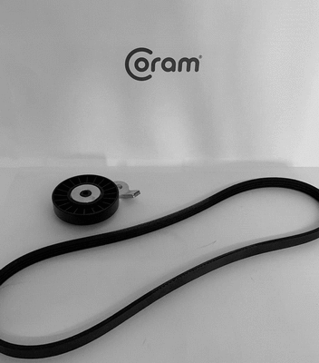 V-Ribbed Belt Set (KTC1011)