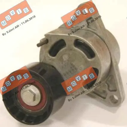 Belt Tensioner, V-ribbed belt (AST2494)