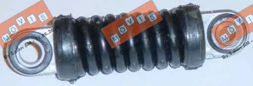 Vibration Damper, V-ribbed belt (AST2093)