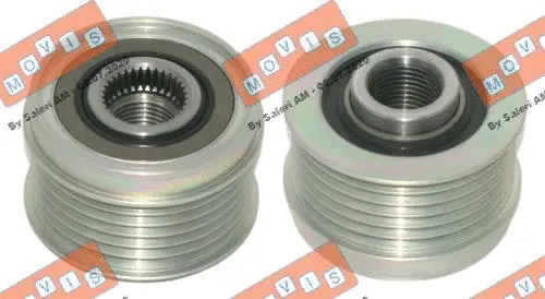 Alternator Freewheel Clutch (AST3893)