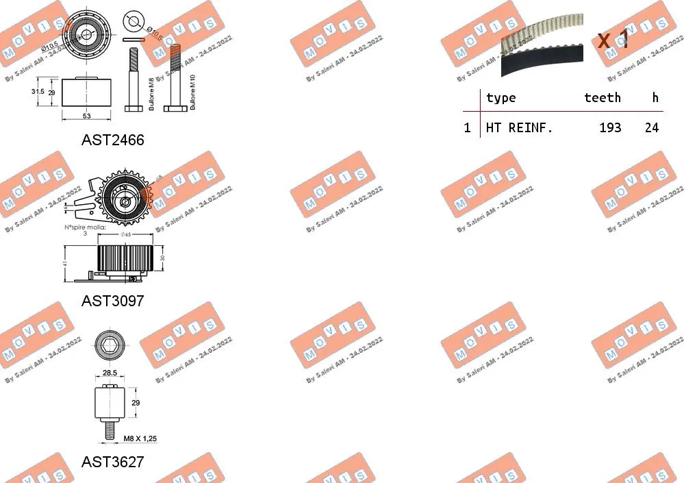 Timing Belt Kit