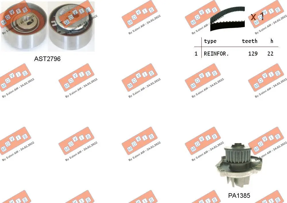Water Pump & Timing Belt Kit (ASTK1062PA2)