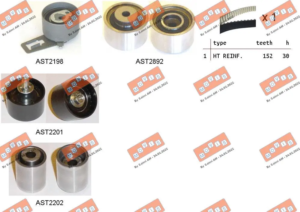 Timing Belt Kit (ASTK1117)