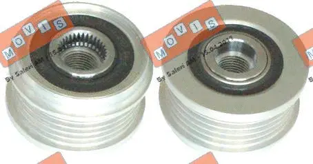 Alternator Freewheel Clutch (AST3354)