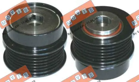 Alternator Freewheel Clutch (AST2978)