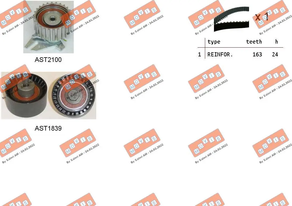 Timing Belt Kit (ASTK0907)