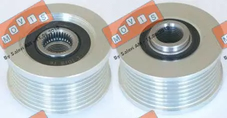 Alternator Freewheel Clutch (AST3242)
