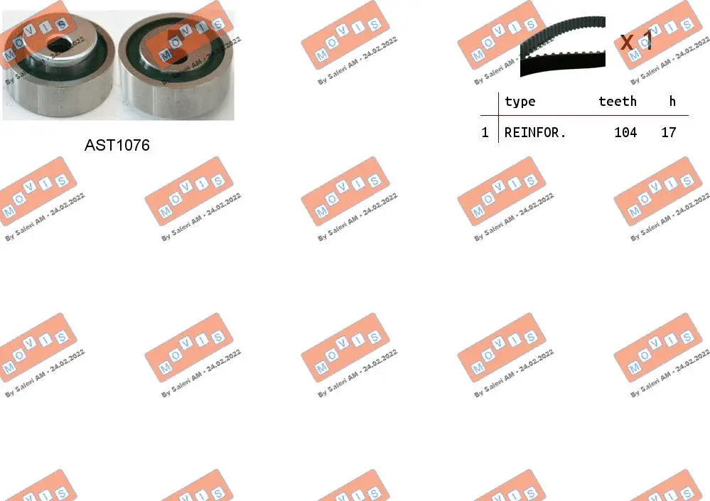 Timing Belt Kit (ASTK0814)
