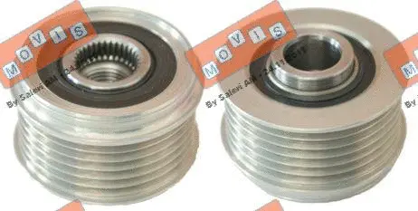 Alternator Freewheel Clutch (AST3389)