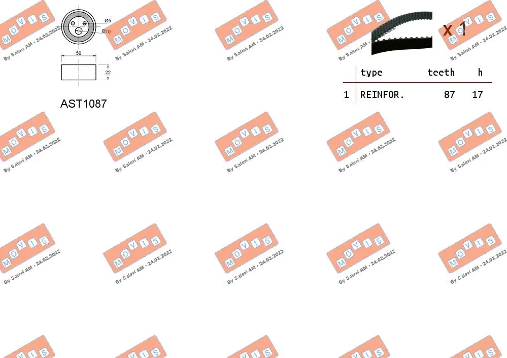 Timing Belt Kit